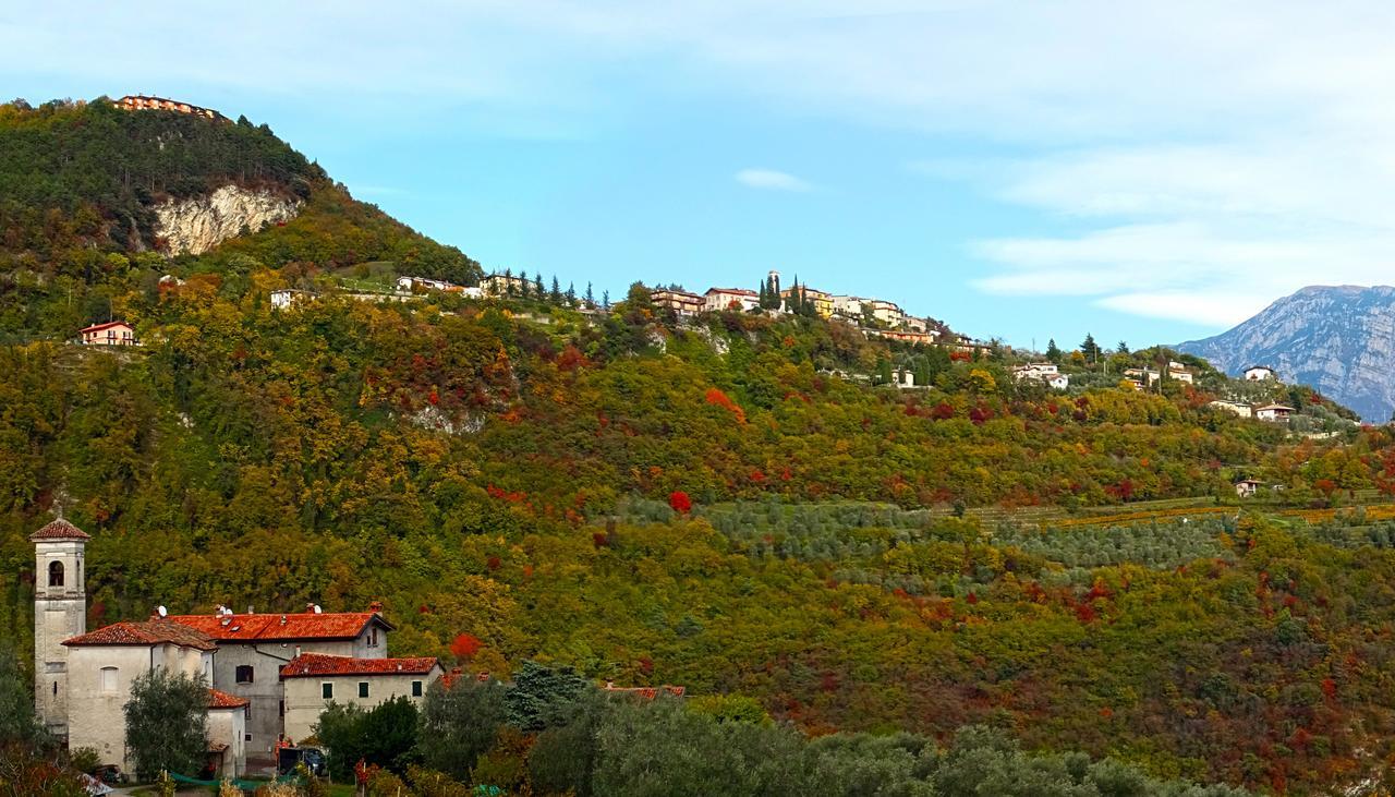 Villetta Ulivi Ca7 Sun Terrace By Gardadomusmea Tremosine 外观 照片